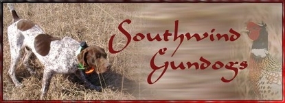 Southwind Gundogs - Home